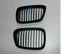 BMW E39 PANJUR SET 3RENK 00-03 BTAP 51137005837-838