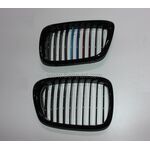 BMW E39 PANJUR SET 3RENK 00-03 BTAP 51137005837-838