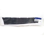 ACCENT BLUE KAPI İSKELET ŞERİDİ ARKA SOL 11/- ORJINAL 86381-1R000