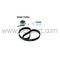 HONDA CIVIC TRİGER SETİ 104 DİŞ 1.6 96-01 D16Y4 D16Y5 SKF KTB392